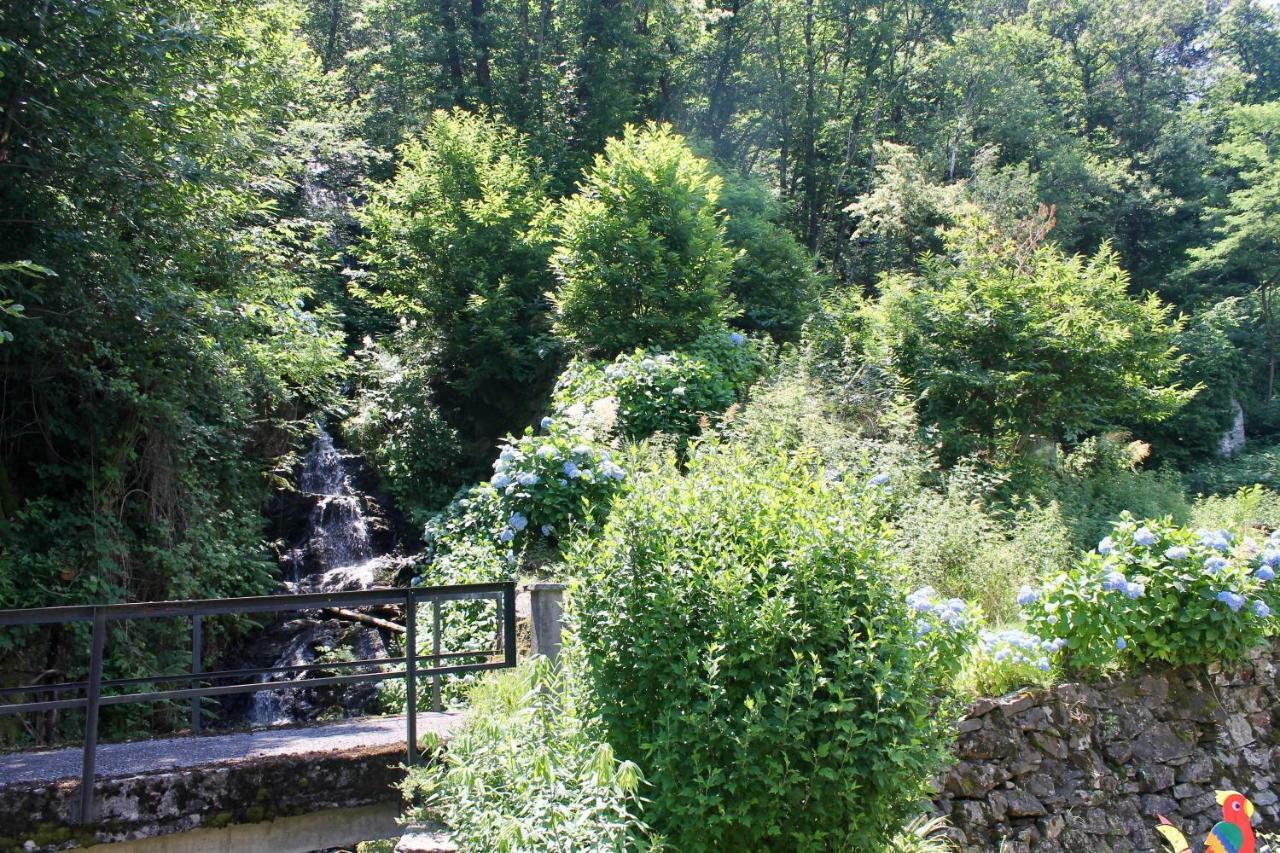 דירות Gambarogno Casa Ortensia מראה חיצוני תמונה
