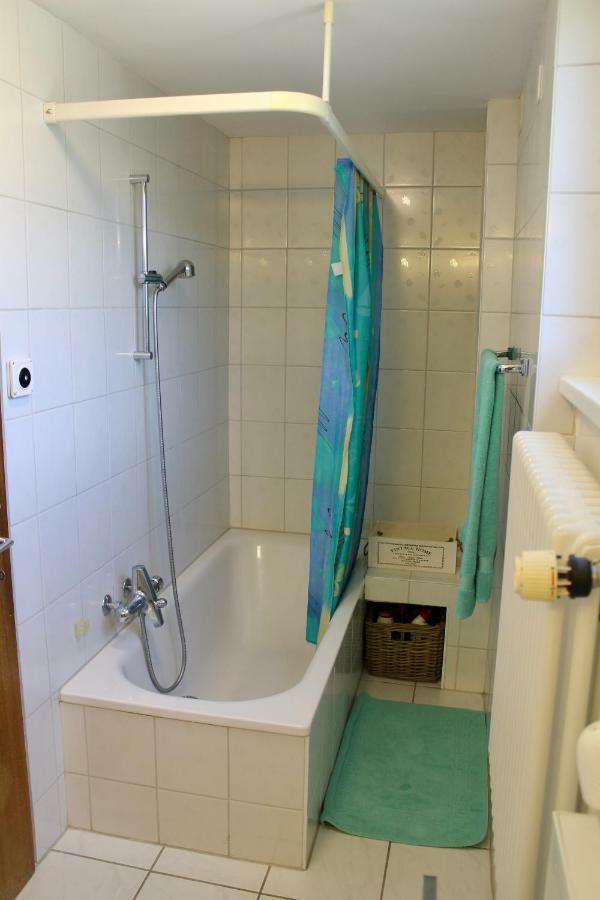 דירות Gambarogno Casa Ortensia מראה חיצוני תמונה